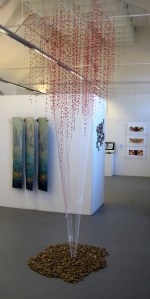 B95 Red Knot Migration